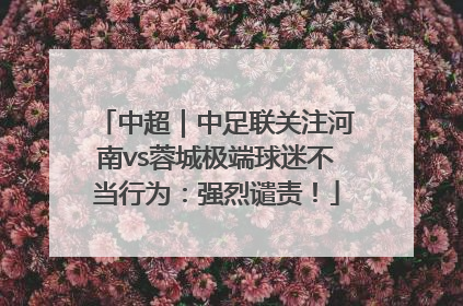 中超｜中足联关注河南vs蓉城极端球迷不当行为：强烈谴责！
