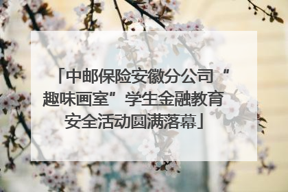 中邮保险安徽分公司“趣味画室”学生金融教育安全活动圆满落幕