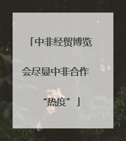中非经贸博览会尽显中非合作“热度”