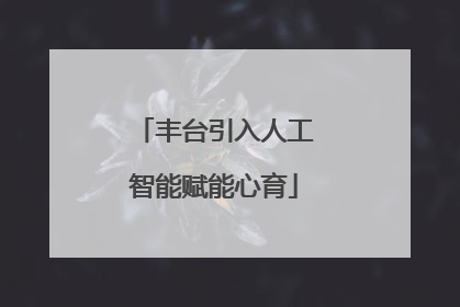 丰台引入人工智能赋能心育