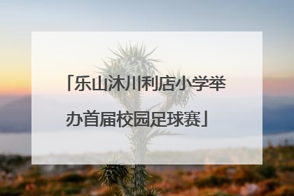 乐山沐川利店小学举办首届校园足球赛