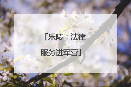 乐陵：法律服务进军营