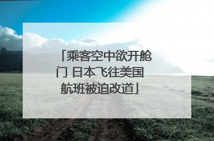 乘客空中欲开舱门 日本飞往美国航班被迫改道
