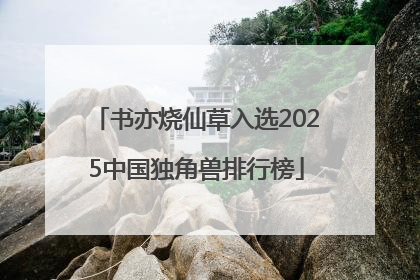 书亦烧仙草入选2025中国独角兽排行榜