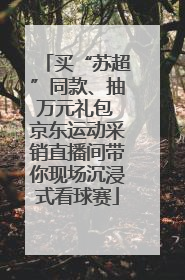 买“苏超”同款、抽万元礼包 京东运动采销直播间带你现场沉浸式看球赛