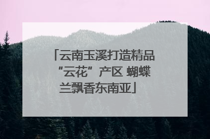 云南玉溪打造精品“云花”产区 蝴蝶兰飘香东南亚