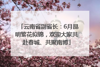 云南省副省长：6月昆明繁花似锦，欢迎大家共赴春城、共聚南博