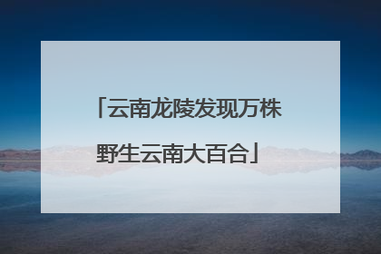 云南龙陵发现万株野生云南大百合