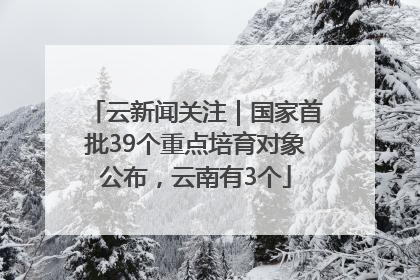 云新闻关注｜国家首批39个重点培育对象公布，云南有3个