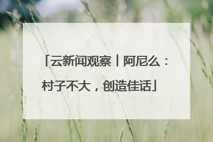 云新闻观察︱阿尼么：村子不大，创造佳话