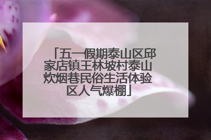 五一假期泰山区邱家店镇王林坡村泰山炊烟巷民俗生活体验区人气爆棚