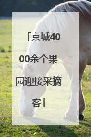 京城4000余个果园迎接采摘客