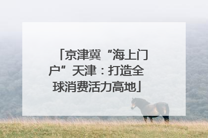 京津冀“海上门户”天津：打造全球消费活力高地