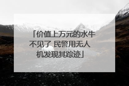 价值上万元的水牛不见了 民警用无人机发现其踪迹