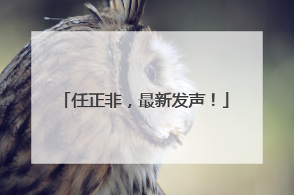 任正非，最新发声！
