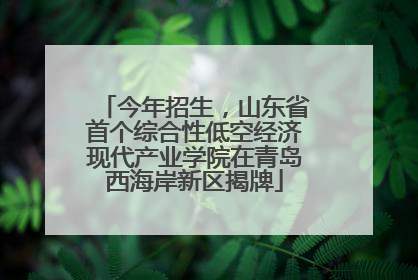 今年招生，山东省首个综合性低空经济现代产业学院在青岛西海岸新区揭牌