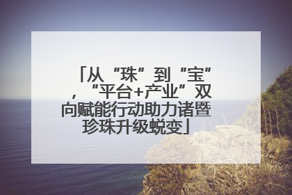 从“珠”到“宝”，“平台+产业”双向赋能行动助力诸暨珍珠升级蜕变