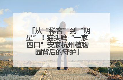 从“稀客”到“明星”！猫头鹰“一家四口”安家杭州植物园背后的守护