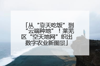 从“靠天吃饭”到“云端种地”！莱芜区“空天地网”织出数字农业新图景