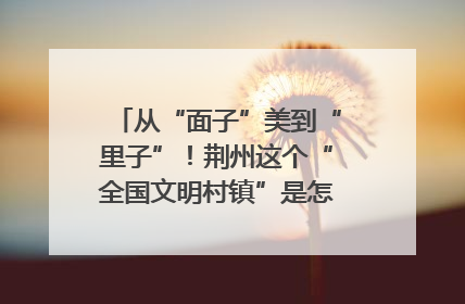 从“面子”美到“里子”！荆州这个“全国文明村镇”是怎样炼成的？