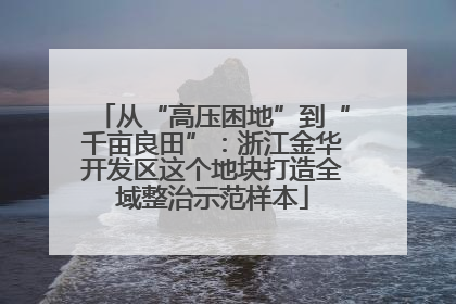 从“高压困地”到“千亩良田”：浙江金华开发区这个地块打造全域整治示范样本