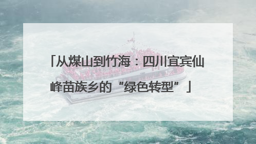 从煤山到竹海：四川宜宾仙峰苗族乡的“绿色转型”