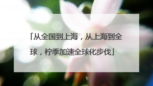 从全国到上海，从上海到全球，柠季加速全球化步伐