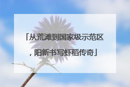 从荒滩到国家级示范区，阳新书写虾稻传奇