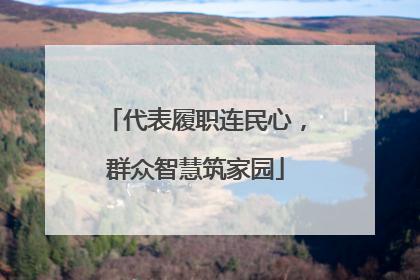 代表履职连民心，群众智慧筑家园