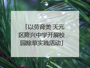 以劳育美 天元区隆兴中学开展校园除草实践活动