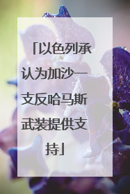 以色列承认为加沙一支反哈马斯武装提供支持