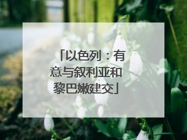 以色列：有意与叙利亚和黎巴嫩建交