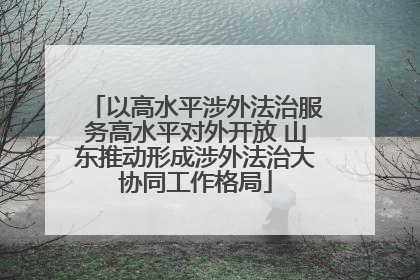 以高水平涉外法治服务高水平对外开放 山东推动形成涉外法治大协同工作格局