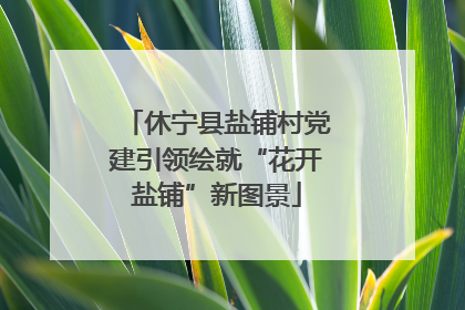 休宁县盐铺村党建引领绘就“花开盐铺”新图景