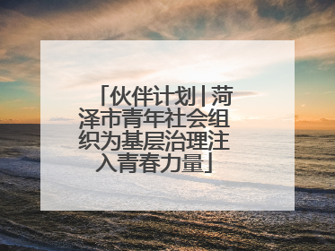伙伴计划│菏泽市青年社会组织为基层治理注入青春力量