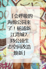 会呼吸的海绵公园来了！杨浦新江湾城7.35公顷生态空间改造焕新