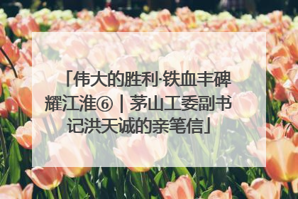 伟大的胜利·铁血丰碑耀江淮⑥｜茅山工委副书记洪天诚的亲笔信