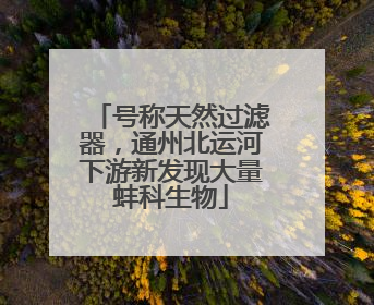 号称天然过滤器，通州北运河下游新发现大量蚌科生物