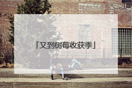 又到树莓收获季