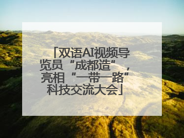 双语AI视频导览员“成都造”，亮相“一带一路”科技交流大会