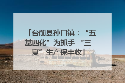 台前县孙口镇：“五基四化”为抓手 “三夏”生产保丰收