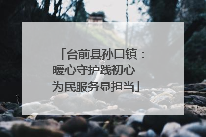 台前县孙口镇：暖心守护践初心 为民服务显担当