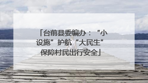 台前县委编办：“小设施”护航“大民生” 保障村民出行安全