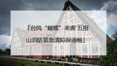 台风“蝴蝶”来袭 五指山消防紧急清障保通畅
