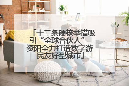 十二条硬核举措吸引“全球合伙人” 资阳全力打造数字游民友好型城市