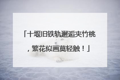 十堰旧铁轨邂逅夹竹桃，繁花似画莫轻触！