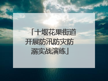 十堰花果街道开展防汛防灾防溺实战演练