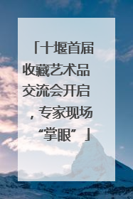 十堰首届收藏艺术品交流会开启，专家现场“掌眼”