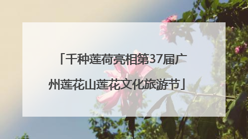 千种莲荷亮相第37届广州莲花山莲花文化旅游节