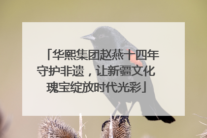 华熙集团赵燕十四年守护非遗，让新疆文化瑰宝绽放时代光彩